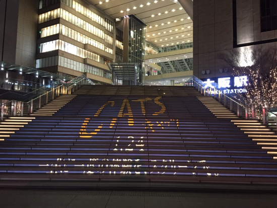 CATS-s-550『キャッツ』スペシャルライトアップ_グランフロント大阪.png