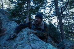 Elevation-500-1.jpg