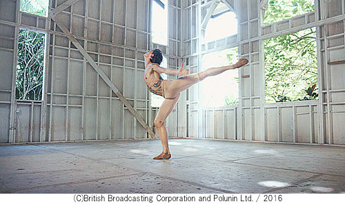 Dancer-500-3.jpg