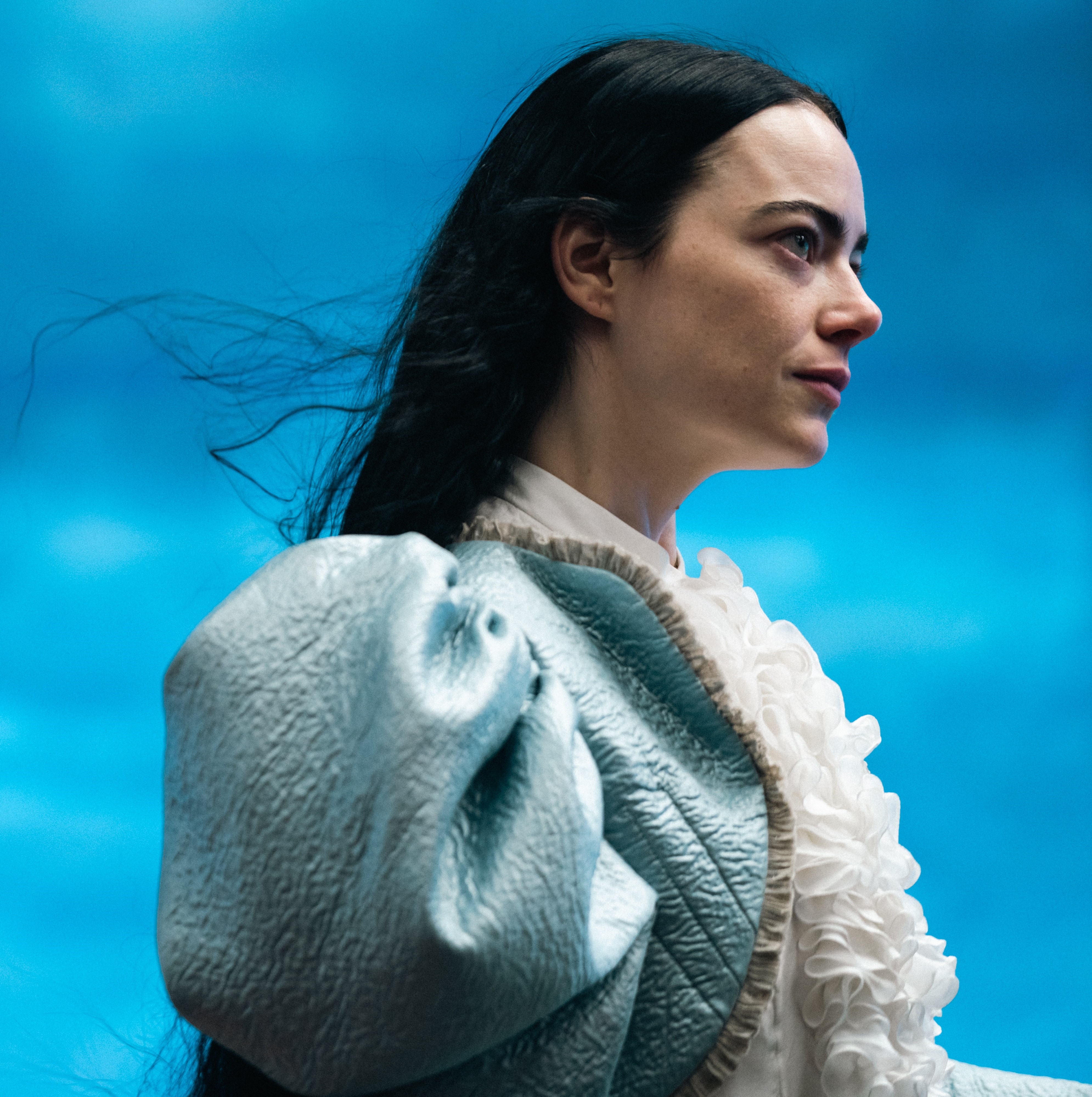 哀れなるものたち』 - 映画レビュー